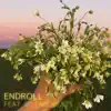 Endroll (feat. SOTAROBEATS) - Single album lyrics, reviews, download