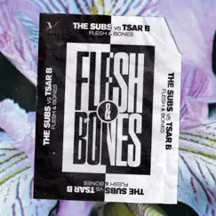 Flesh & Bones Song Lyrics