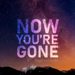 Now You're Gone (Instrumental Version) Song Lyrics