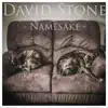 Namesake - Single album lyrics, reviews, download