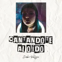 Cantandote Al Oido Rkt - Single by DJ Seba Vallejos album reviews, ratings, credits