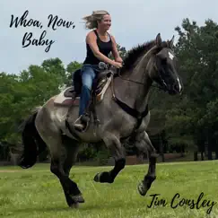 Whoa, Now, Baby by Tim Consley album reviews, ratings, credits