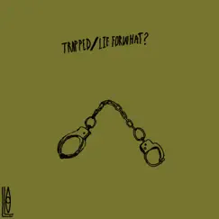 Trapped/Lieforwhat? - Single by Nate.wav album reviews, ratings, credits