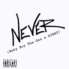 Never - Single by Baby Boy Tha Gee album reviews, ratings, credits