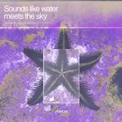 Sounds Like Water Meets the Sky by Piãnow album reviews, ratings, credits