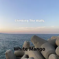 Climbing the Walls Song Lyrics