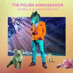 Gathering of the Tribes (feat. Jesse Klein, Robin Jackson & Ananda Vaughan) [& Friends Mix] - Single by The Polish Ambassador album reviews, ratings, credits