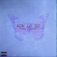 Non Lo So (feat. Joana) - Single by Endg album reviews, ratings, credits
