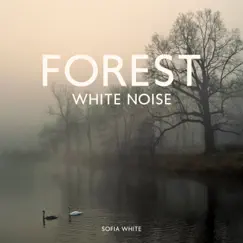 Forest Sound ASMR Song Lyrics