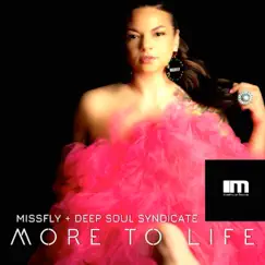 More to Life (Deep Soul Syndicate Instrumental Mix) Song Lyrics