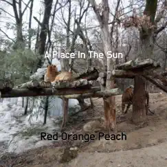 A Place In the Sun - Single by Red Orange Peach album reviews, ratings, credits