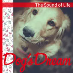 The Sound of Life by Dog’s Dream album reviews, ratings, credits