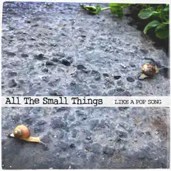 All the Small Things - Single by Like a Pop Song album reviews, ratings, credits