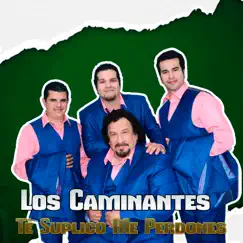 Té Suplico Me Perdones - Single by Los Caminantes album reviews, ratings, credits