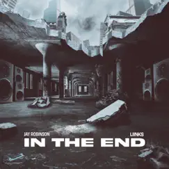 In the End (feat. LIINKS) - Single by Jay Robinson album reviews, ratings, credits