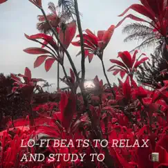Lo-fi Beats To Relax and Study To, Vol. 48 by Wood Grain Cafe album reviews, ratings, credits