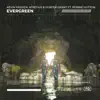 Evergreen (feat. Robbie Hutton) - Single album lyrics, reviews, download