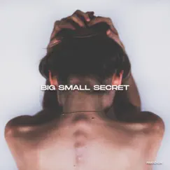 Big Small Secret - Single by Cloudive album reviews, ratings, credits