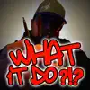 What It Do - Single album lyrics, reviews, download