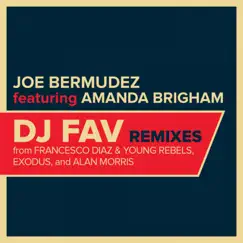 DJ Fav (Francesco Diaz & Young Rebels Remix) Song Lyrics