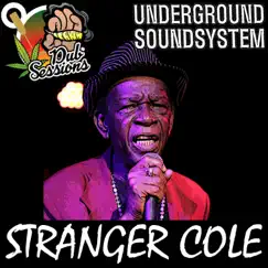 Bangarang (feat. Stranger Cole) [Dubplate] Song Lyrics