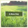 A New Day album lyrics, reviews, download