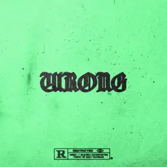 Wrong - Single by Shane Michael album reviews, ratings, credits