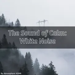 The Sound of Calm: White Noise by Atmosphere Asmr album reviews, ratings, credits