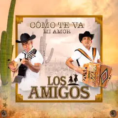 Cómo Te Va Mi Amor by Los Amigos album reviews, ratings, credits