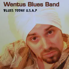 Blues Today USA - Single by Wentus Blues Band album reviews, ratings, credits
