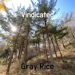 Vindicated - Single by Gray Rice album reviews, ratings, credits