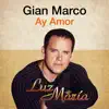 Ay Amor (Luz María) - Single album lyrics, reviews, download