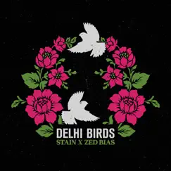 Delhi Birds - Single by Stain & Zed Bias album reviews, ratings, credits