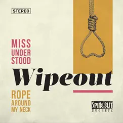 Miss Understood - Single by Wipeout album reviews, ratings, credits