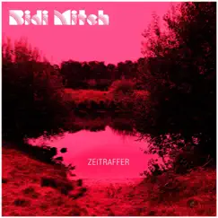 ZEiTRAFFER by Midi Bitch album reviews, ratings, credits