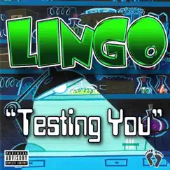 Testing You - Single by Lingo album reviews, ratings, credits
