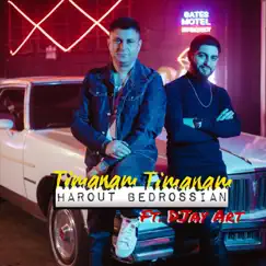 Timanam Timanam (feat. Djay Art) - Single by Harout Bedrossian album reviews, ratings, credits