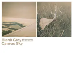 Blank Grey Canvas Sky by Peter Broderick & Machinefabriek album reviews, ratings, credits