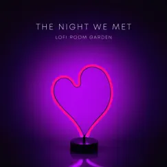 The Night We Met - Single by Lofi Room Garden album reviews, ratings, credits