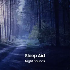 Piano Sleep Music (with Night Sound) Song Lyrics