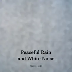 White Noise Violin & Cello - The Sound of the Silence (with Rain Sound) Song Lyrics