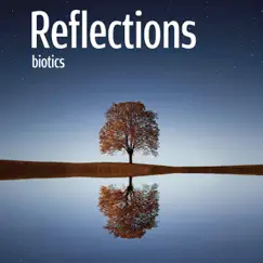 Reflections Song Lyrics