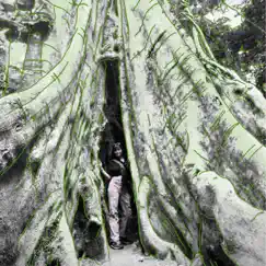 Eucalyptus Tree - Single by Isadora Swann album reviews, ratings, credits