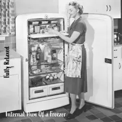 Fully Relaxed: Internal Hum of a Freezer by Steve Brassel album reviews, ratings, credits