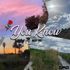 You Know - Single by Nicko LVCC album reviews, ratings, credits