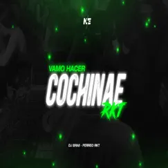 Vamo' Hacer Cochinae - Single by Dj Braii album reviews, ratings, credits