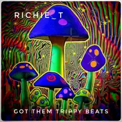 Got Them Trippy Beats - Single by Richie_T album reviews, ratings, credits