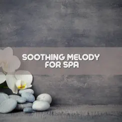 Soothing Melody for Spa by Meditation Music, Relaxing Spa Music & Meditation Day album reviews, ratings, credits