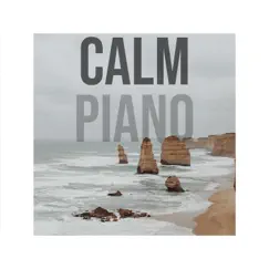 Calm Piano - Single by Spatial Audio Sleep album reviews, ratings, credits
