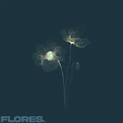 Flores. Song Lyrics